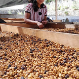 Coop Tinamit