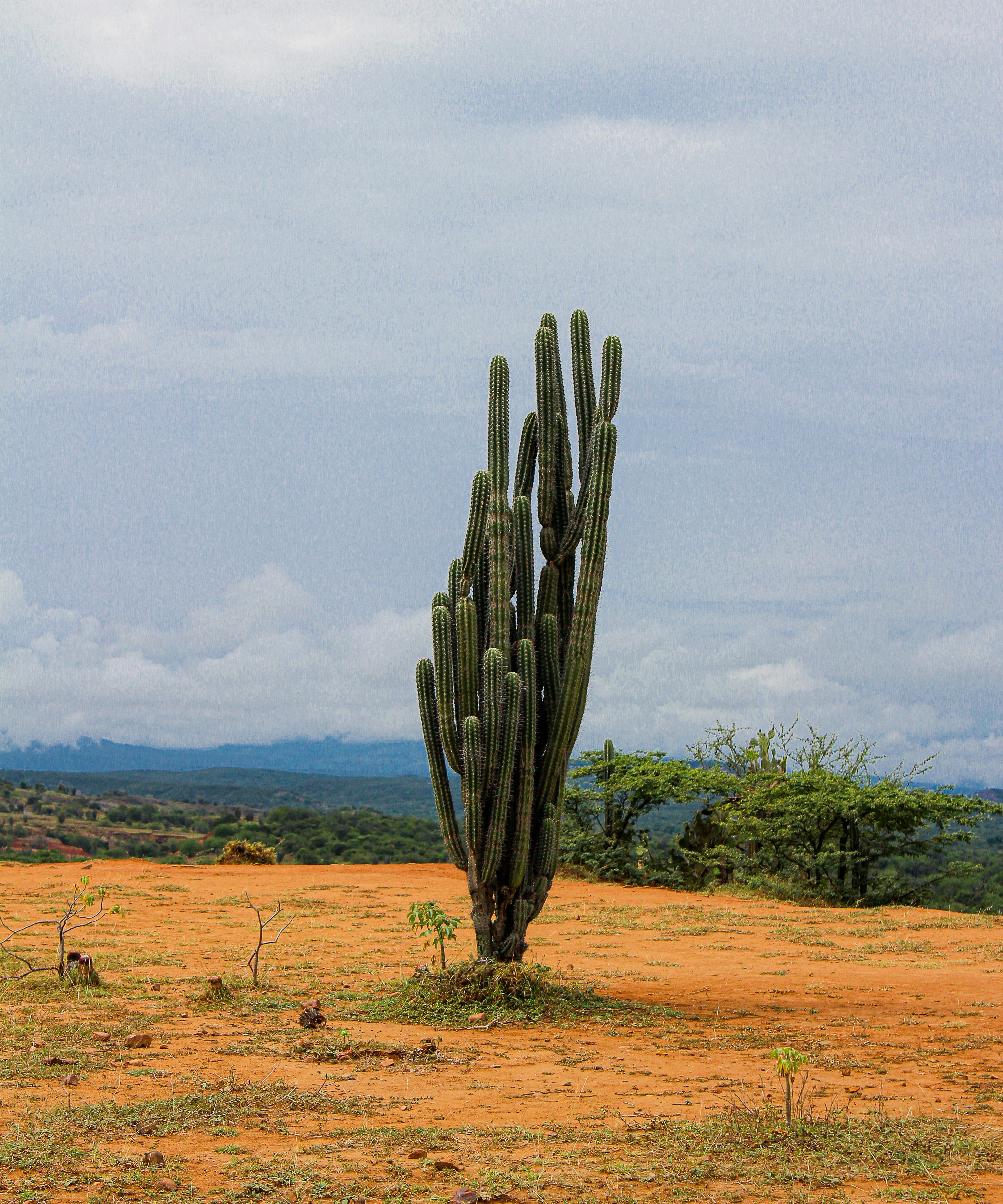 Photo by: Julian David Loaiza Agudelo